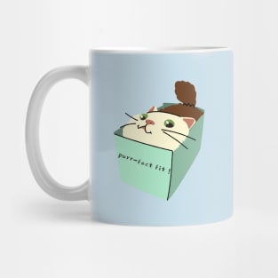 cat in a box Mug